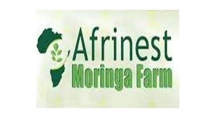 Afrinest Moringa Farm
