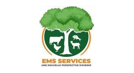 EMS Services